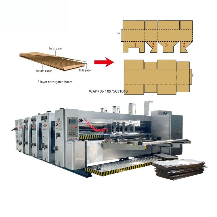 Die Cutting Machine - Automatic 4 Color Cartoning Printing Die